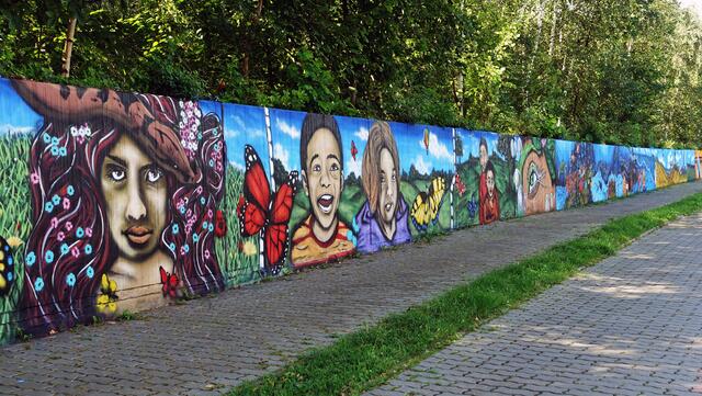Bereits mehrere farbenfrohe Kunstwerke des Graffiti-Künstlers Ronny Knorr zieren die Betonwand in Salzgitter. Foto: Helmut Kuzina