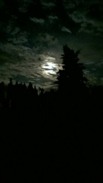 Der Mond am 12.8.2014