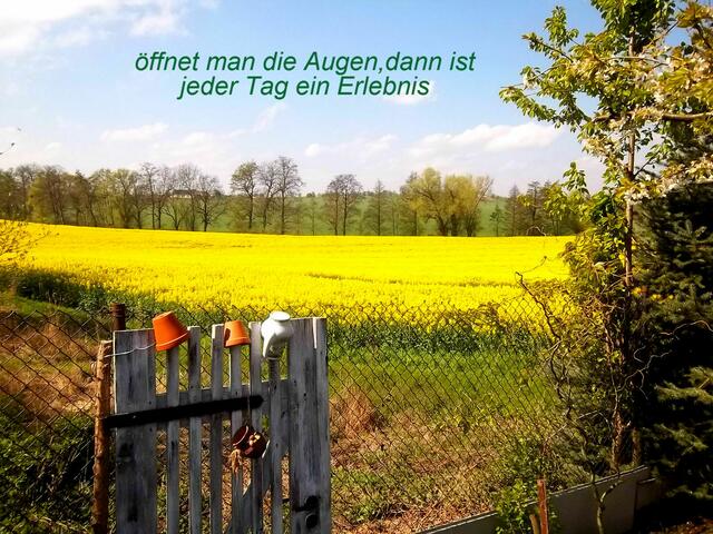Man schmeckt schon den Sommer