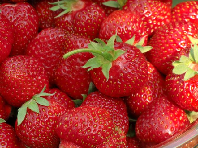 Erdbeeren