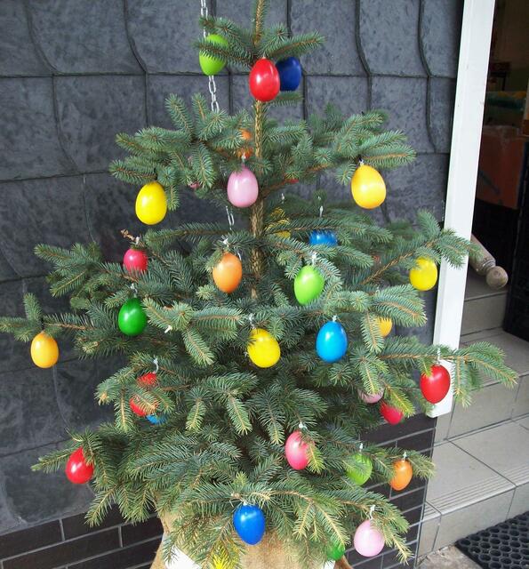 April: Passend zur Saison und zum Aprilwetter - Weihnachtsbaum mit bunten Ostereiern in Alfeld
