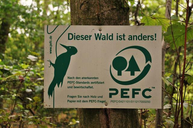Und ob, Urwald rechts und links vom Pfad
