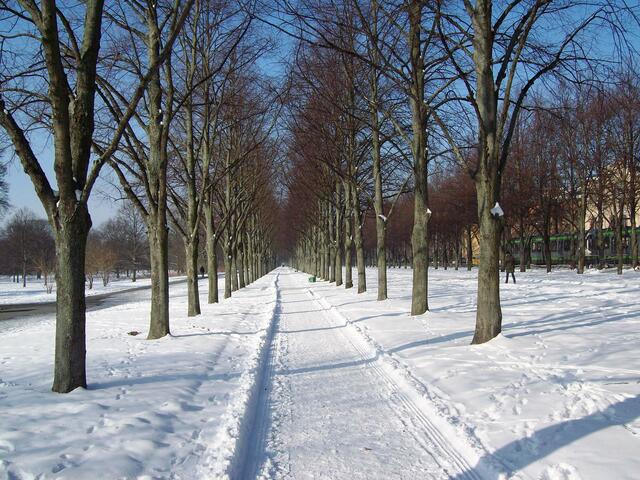 Januar: Herrenhäuser Allee Hannover im Schnee