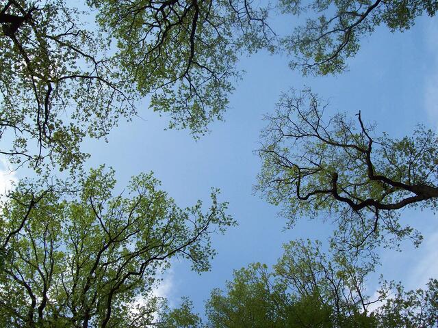 Mai: Erstes Grün im Tiergarten Hannover