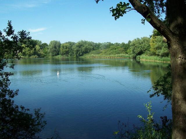August: Berenbosteler See in Garbsen