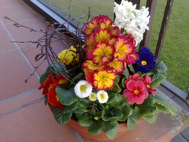 März: Buntes Frühlings-Arrangement