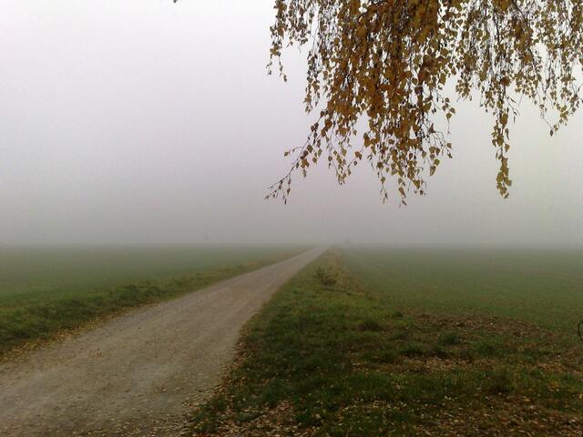 November: Weg in den Nebel