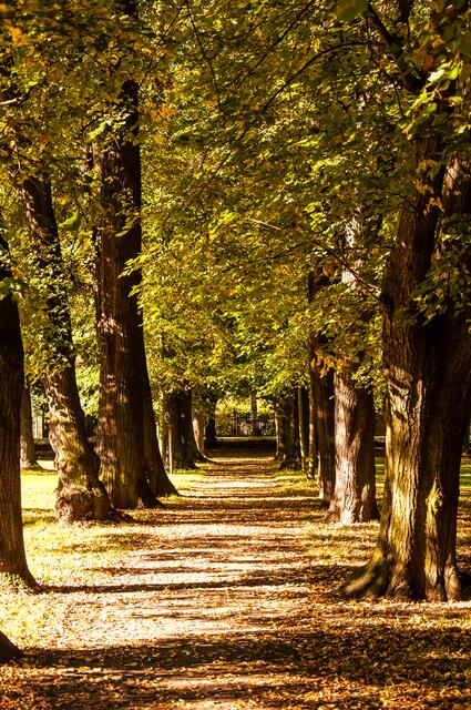 Seckendorfpark Meuselwitz im Herbst