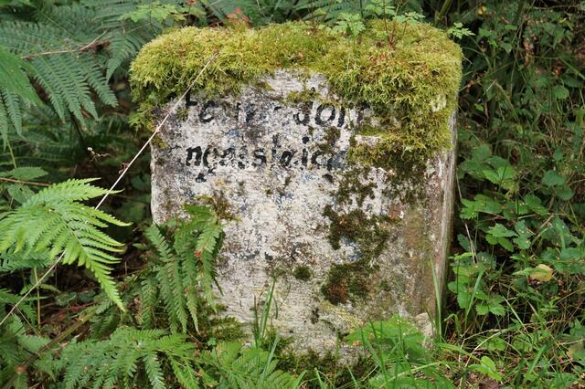 Die Natur siegt überall!?