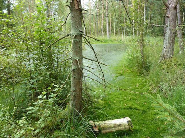 Gefährliche, aber sehr schöne Landschaft