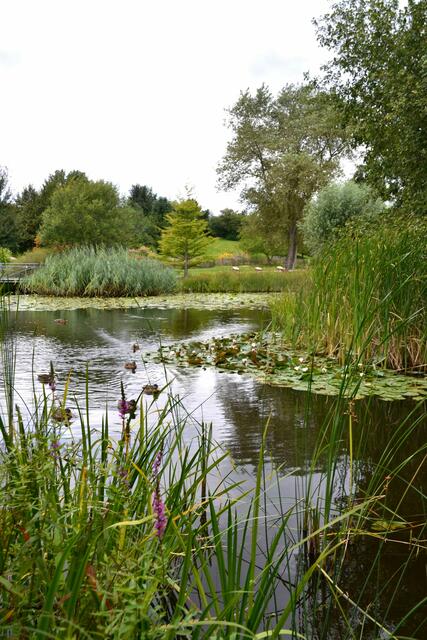 Wenn ein Park die Sinne berührt... - Ausflug in den Park der Sinne Laatzen (Foto: Katja Woidtke)