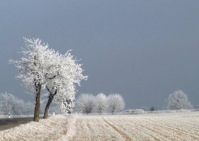 Januar   Schneelandschaft