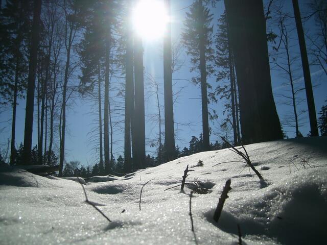 Wintersonne