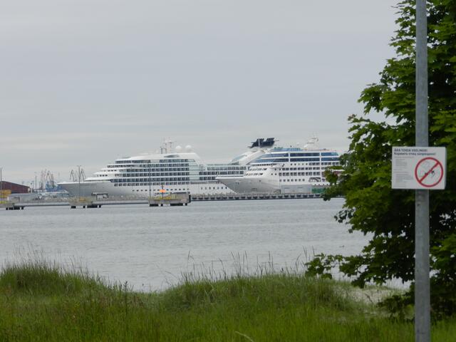 Hafen in Tallinn.