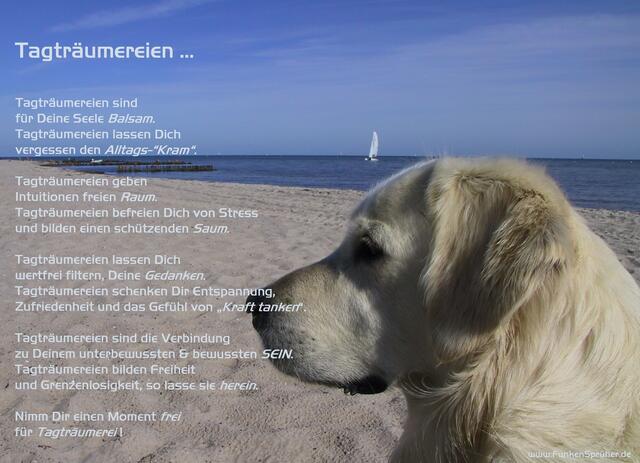 Tagträumereien