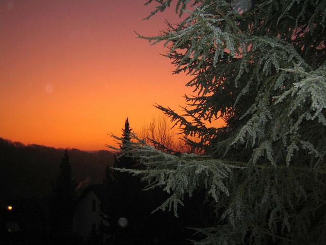 Morgenrot im Spessart - wer steht da nicht gerne auf