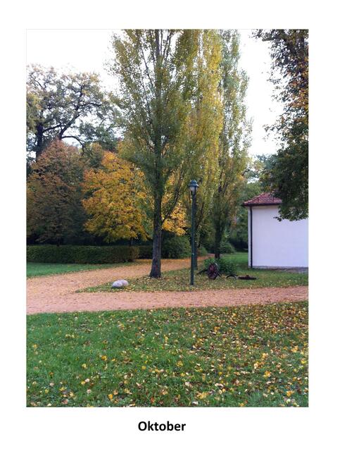 Fotografiert von W.Rust