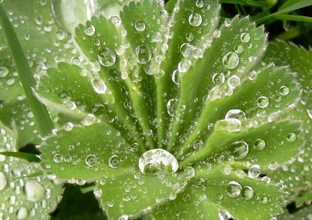 Regen im April