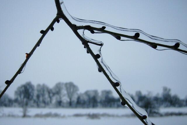 Eis im Dezember