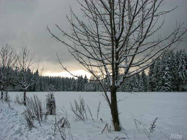 Winter im Erzgebirge