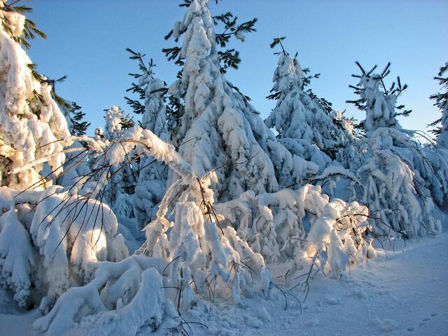Sonne und Schnee