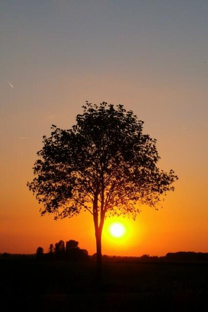 Abendsonne im August