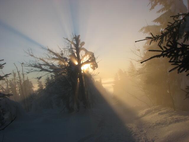 Lichtspiel