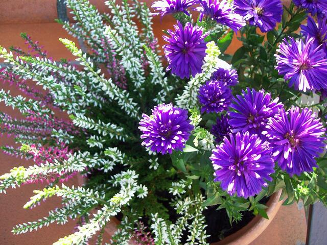 Oktober: Herbstblumenarrangement