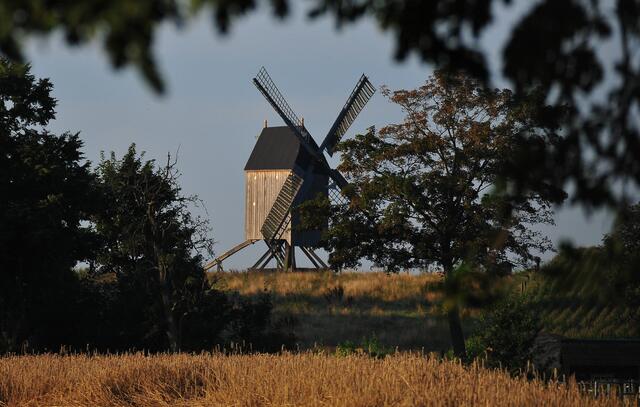 Mai - Die Bockwindmühle in Wettmar