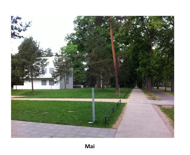 Fotografiert von W.Rust