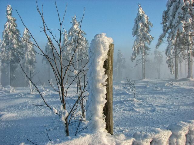 Auf dem Fichtelberg/Oberwiesenthal