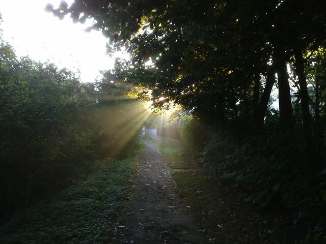 Septembermorgensonnenstrahlen