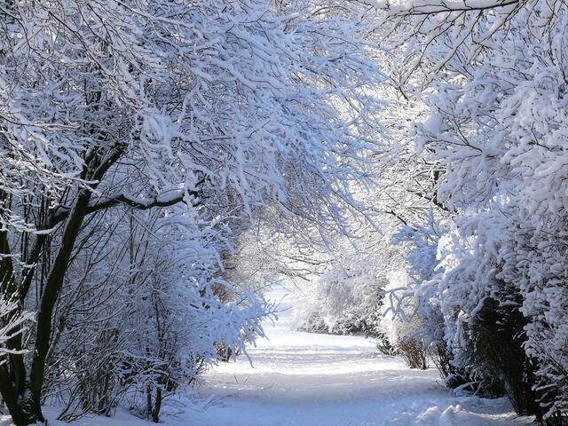 Wintertag