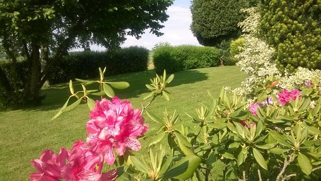 Gartenimprissionen im Mai