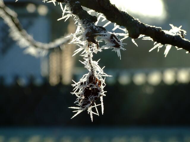 Frost vor Weihnachten