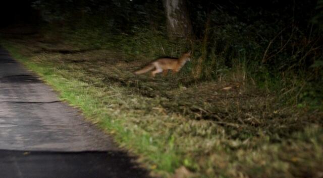 Wenn in nächtlicher Stunde statt dem Fahrrad das Auto als Transportmittel dient, ist dennoch die Kamera während der Fahrt - als Beifahrer - stets einsatzbereit...