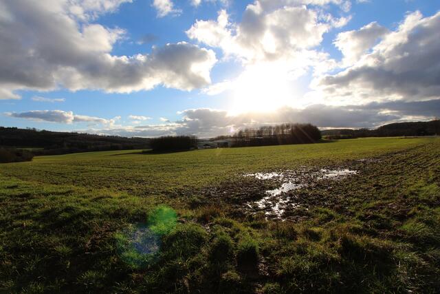 Januar-Landschaft in der Nähe von Marburg