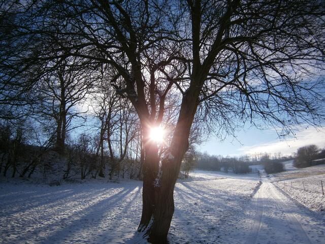Winterimpression