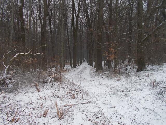 Der Deister