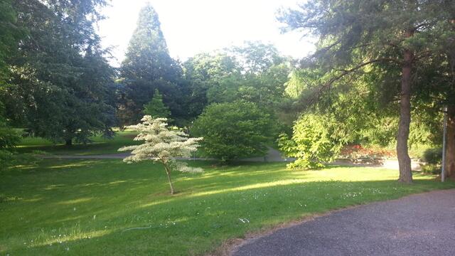 Da  ich sehr schlecht zu Fuß war gibt es kaum Bilder vom Kurpark ,der sehr schön und groß ist