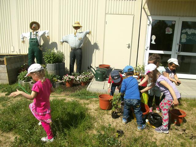 Beim Bepflanzen haben alle Kinder tatkräftig und begeistert mit angepackt...