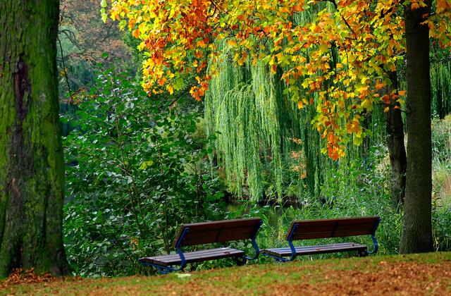 Herbst