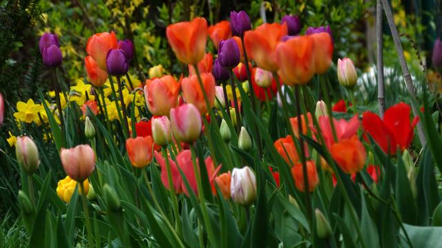 Ostern 2014