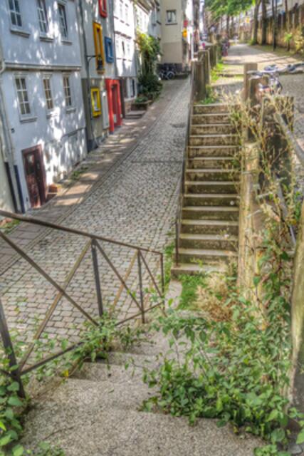 Sieht das nicht Wild Romantisch aus? | Foto: KDH / SDS Marburg
