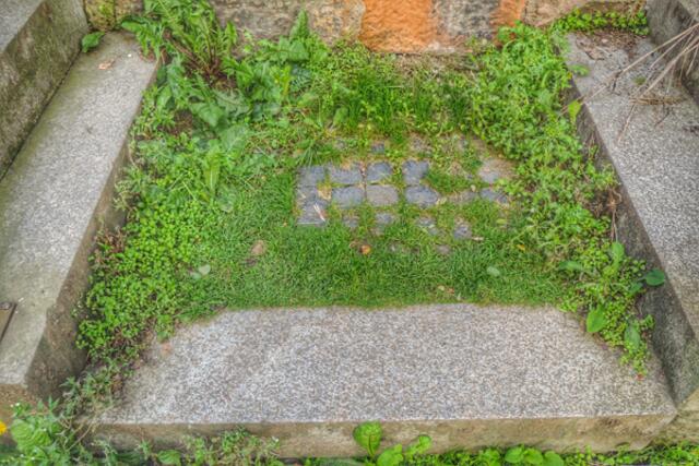 Urban. Mitten in der Stadt über Minigrünflächen schreiten. | Foto: KDH / SDS Marburg