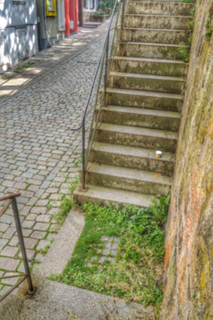 So richtig im Grünen laufen ... | Foto: KDH / SDS Marburg