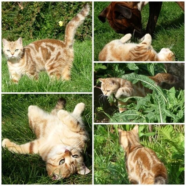 Garten geniessen !