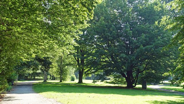 Im Stadtpark von Lebenstedt (Foto: Helmut Kuzina)
