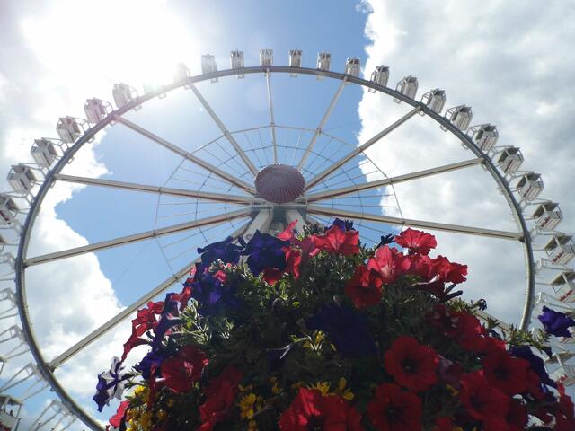 "Riesenrad --- Hafencity" in Hamburg