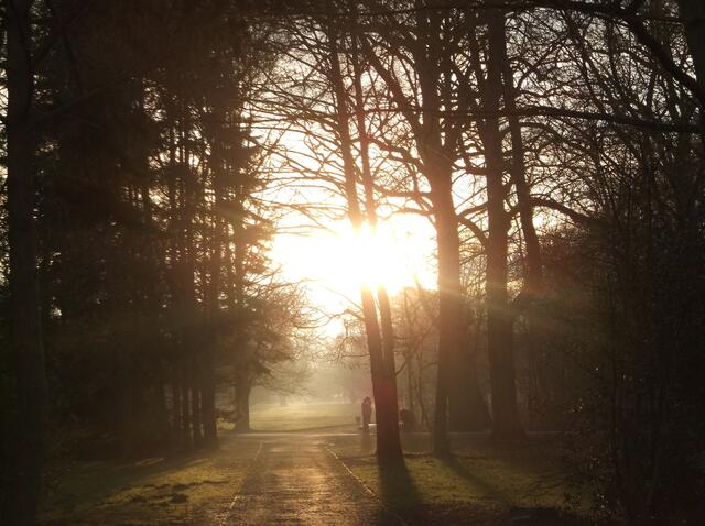 Der Weg in's Licht